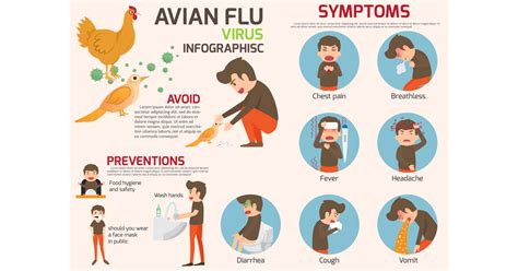 Bird Flu Symptoms In Humans 2024 - Alanah Evangelina