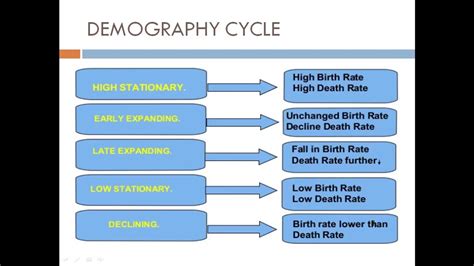 demography - YouTube