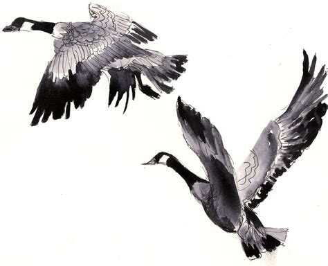 Flying Goose Drawing at PaintingValley.com | Explore collection of Flying Goose Drawing