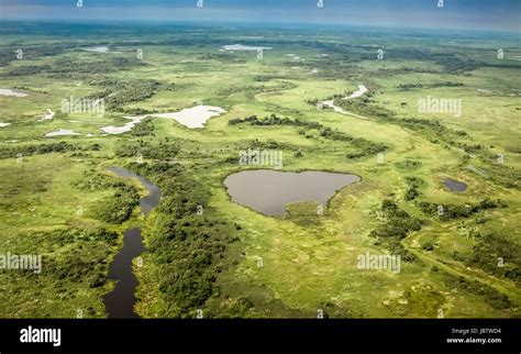 Aerial view of Pantanal wetlands, Pantanal, Brazil Stock Photo ...