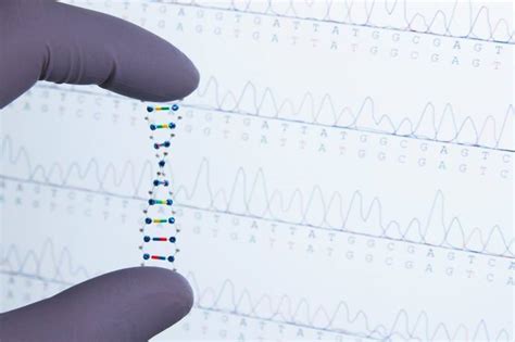 What Consumers Should Know About Commercial DNA Testing - WSJ