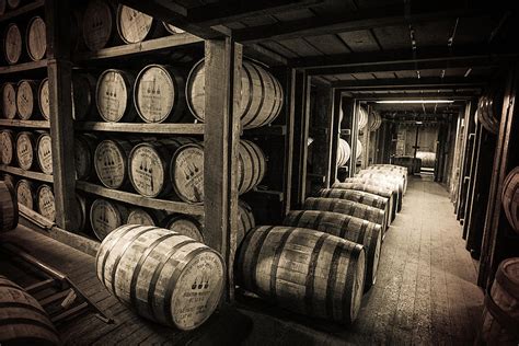 Bourbon Basics - American White Oak Barrels - The Bourbon Review