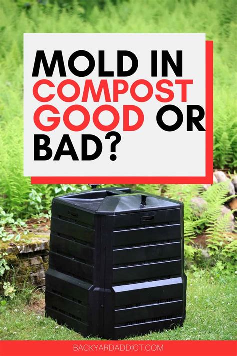 Mold in Compost: Should You Worry? How to Handle It. | Backyard Addict