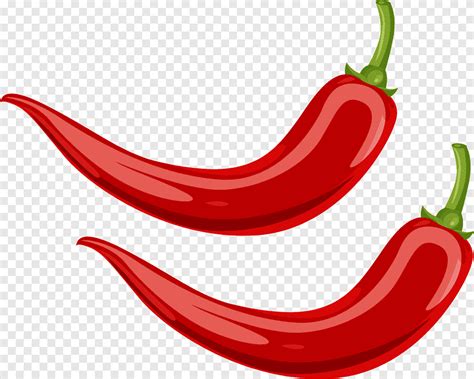 Chili Vector Png