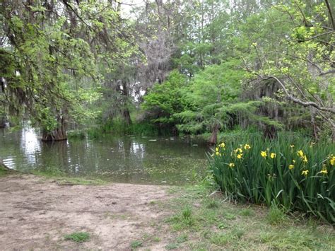 South Louisiana Swamp Tours