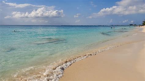 THE LOCALE HOTEL GRAND CAYMAN - Updated 2024 Prices & Reviews (Cayman ...