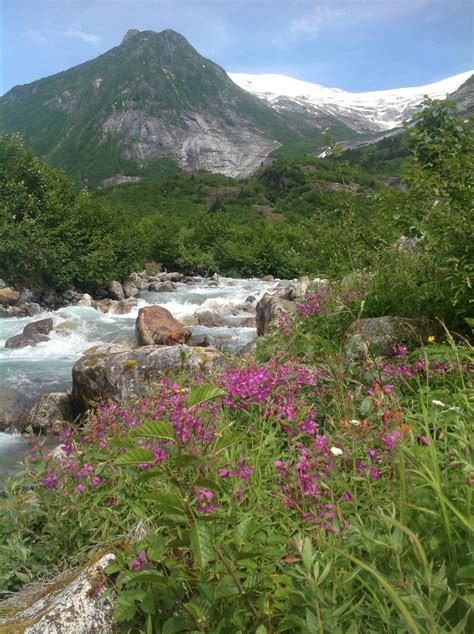 Explore the Stikine River — Travel Wrangell