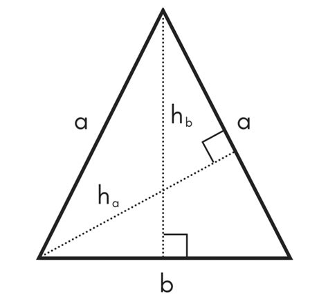 how to find the height of a triangle - Daniel Swast1949