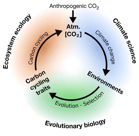 Climate change, evolution, and what happens w | EurekAlert!