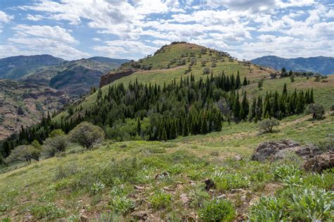 Jarbidge Wilderness | CK Outside