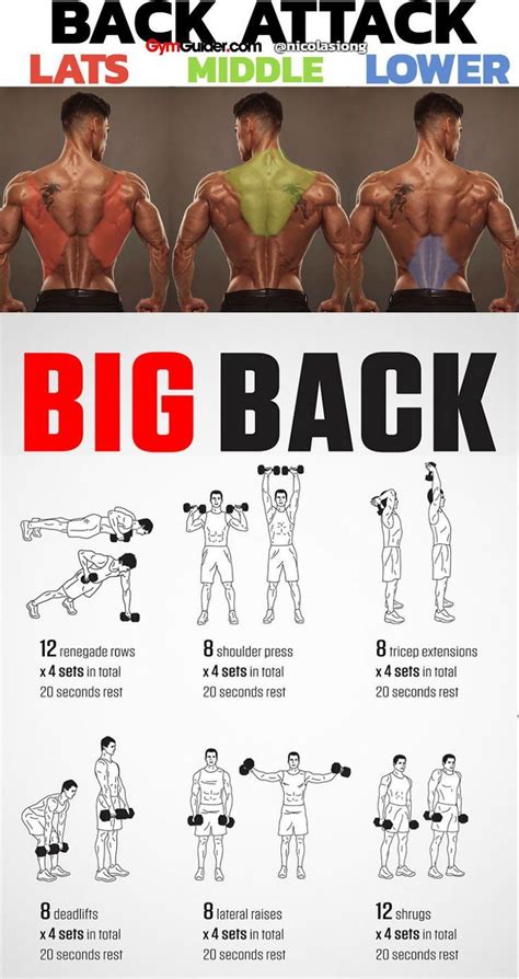 Build Thick and Wide Back With This Workout Program - GymGuider.com | Dumbell workout, Workout ...