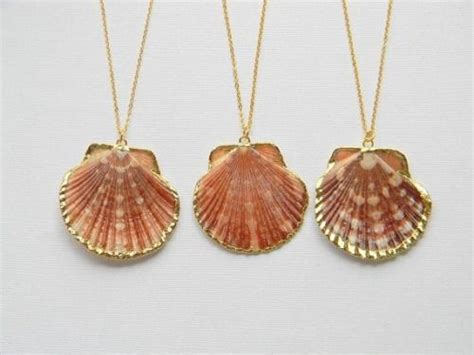 10 best Shell Necklace DIY images on Pinterest | Shell necklaces ...