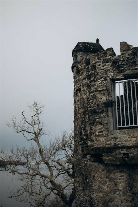 Stone Wall of a Medieval Castle by the River in Ireland · Free Stock Photo