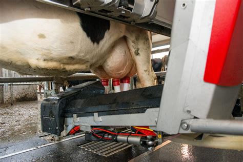 Milking marvel? Lely reveals new, 'revolutionary' robot for 2018 - Agriland.ie