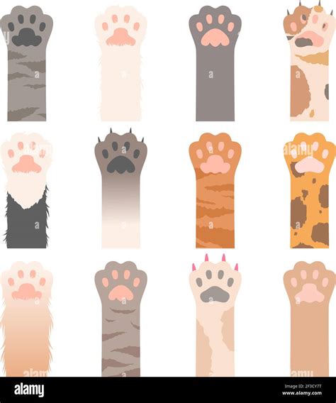 Paw cats. Cute animals hands wild cats claws vector cartoon characters ...