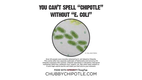 E. coli outbreak rattles Chipotle customers, emboldens critics | Fox News