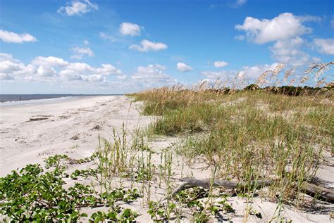 Sapelo Island | Explore Georgia