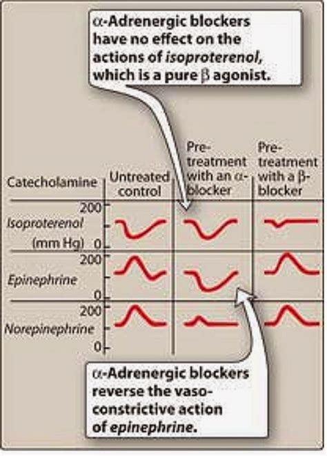 Pharmacological Blog: Propranolol