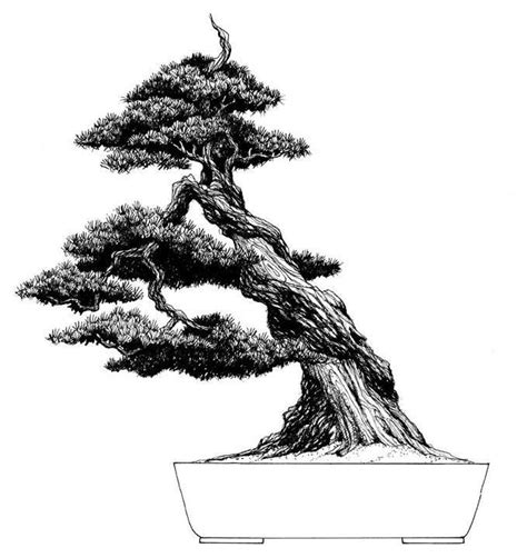 17 Best images about Bonsai Sketch on Pinterest | Bonsai trees, Dibujo ...