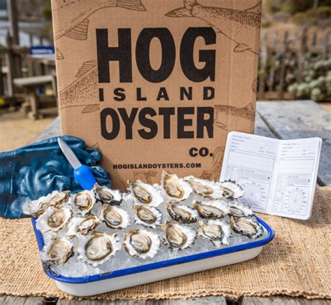 Hog Island Oyster Co. | Oyster Bars, Seafood Restaurants, and Oyster Delivery