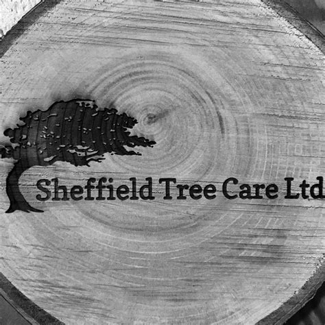 Sheffield Tree Care Ltd | Sheffield