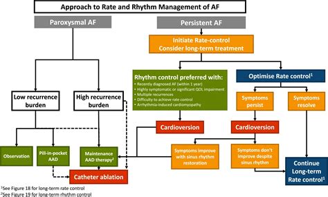 Atrial Fibrillation – Cardio Guide