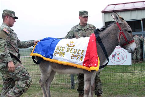 Fort Sill enlists donkey mascot | Article | The United States Army