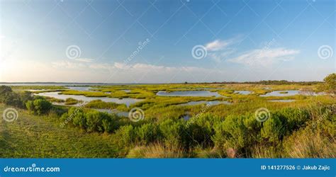 Assateague State Park, Wild Horses Island in Maryland, Marches and Beach Stock Photo - Image of ...