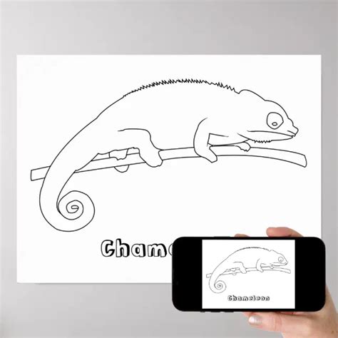 Coloring Chameleon Outline Drawing Posters | Zazzle