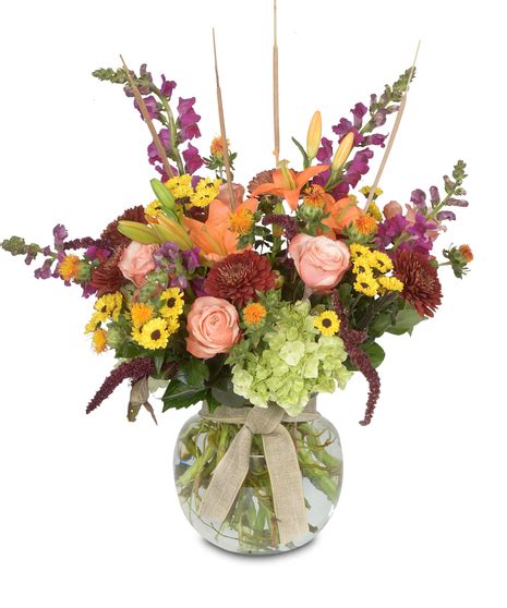 St Louis Mo Flower Market | Best Flower Site