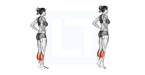 Standing Calf Raise - Guide, Benefits, and Form