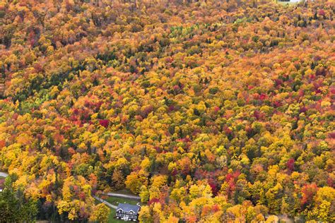 Fall Colors in North Country couple days ago, NH, USA [OC][2800 × 1867] : r/EarthPorn