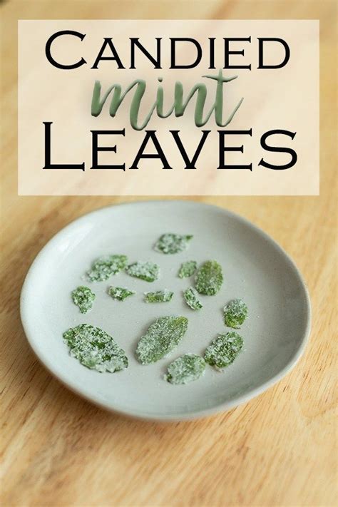 Dessert Recipes Using Fresh Mint Leaves - DESSERT RECIPES