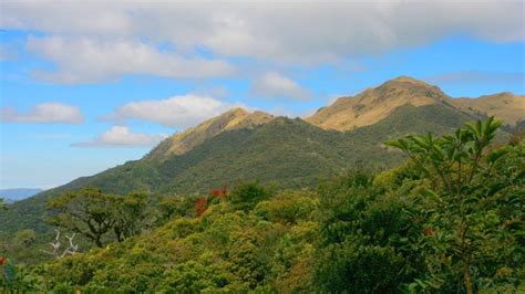 Mount Pulag Mountain Information