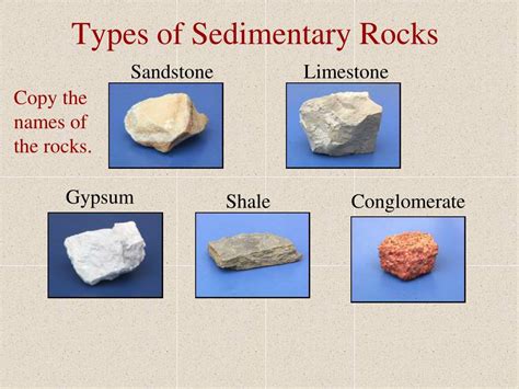 Sedimentary Rock Types