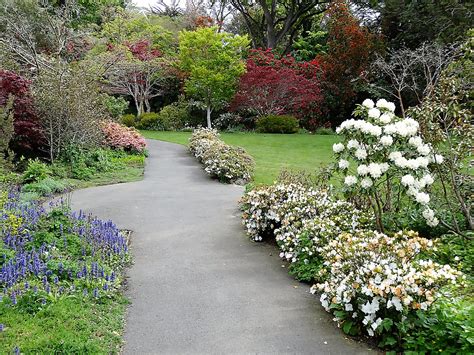 5-five-5: Auckland Botanic Gardens (Manurewa - New Zealand)