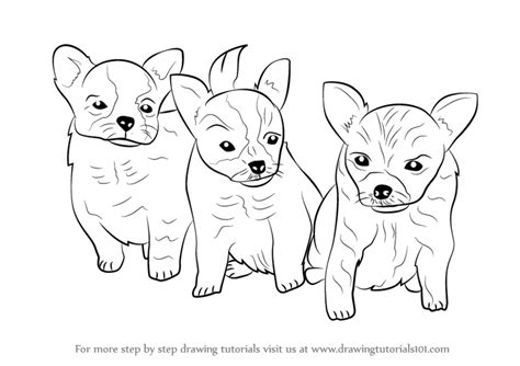 Learn How to Draw Puppies (Dogs) Step by Step : Drawing Tutorials