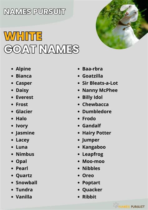 470+ White Goat Names (Cute & Unique Ideas)