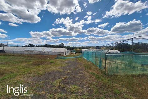 Camden, NSW 2570 - Commercial Farming & Rural Property For Lease - realcommercial