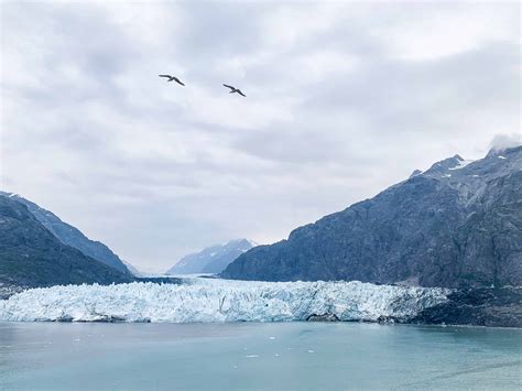 Alaska Adventure {Glacier Bay National Park and Preserve} – Dixie Delights