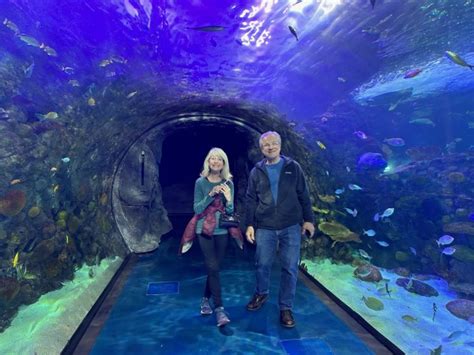 The Branson Aquarium and Other Branson Fun! - TulsaKids Magazine