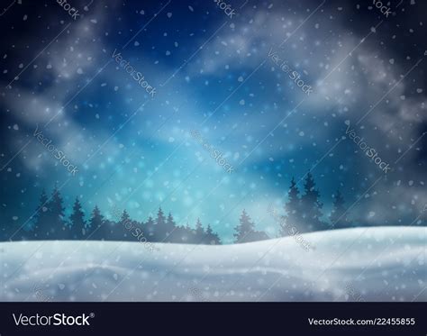 Winter night landscape Royalty Free Vector Image