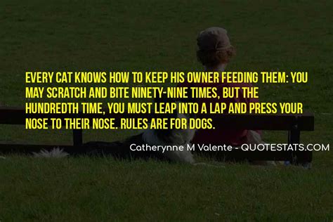 Top 28 Cat Scratch Quotes: Famous Quotes & Sayings About Cat Scratch