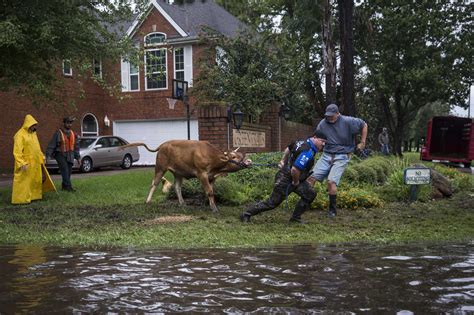 FAQ: What to do before, during and after a flood