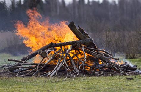 Kentucky forestry officials prepare for fall wildfire season ...