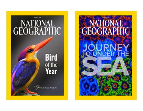 National Geographic Covers on Behance