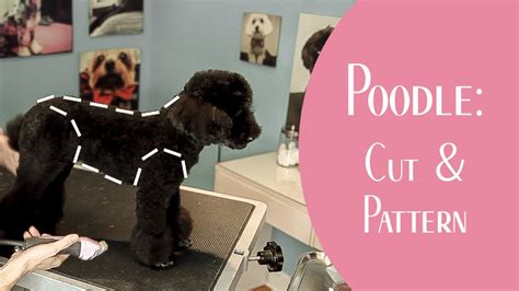 Poodle: Cut & Pattern - YouTube