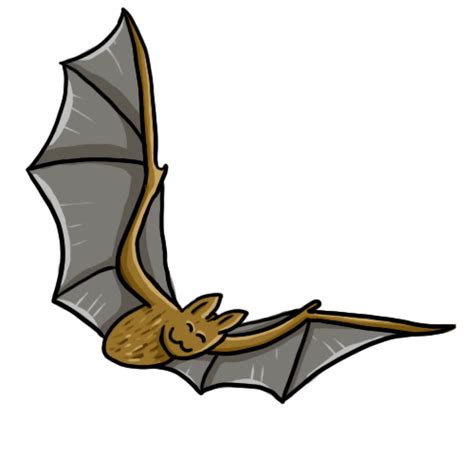 Bat Images Clip Art - Cliparts.co