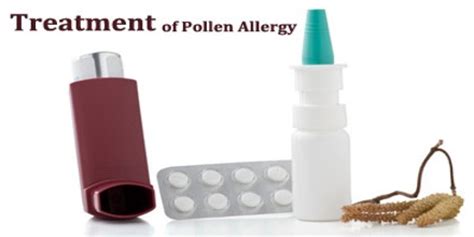 About Pollen Allergy - Assignment Point