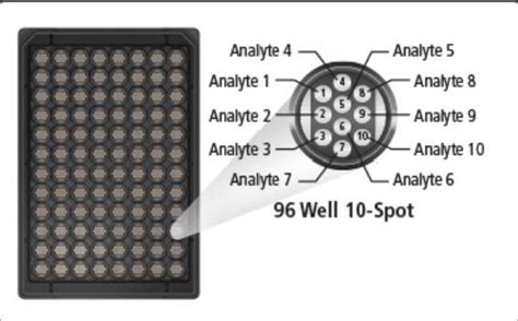 MSD Assay kits